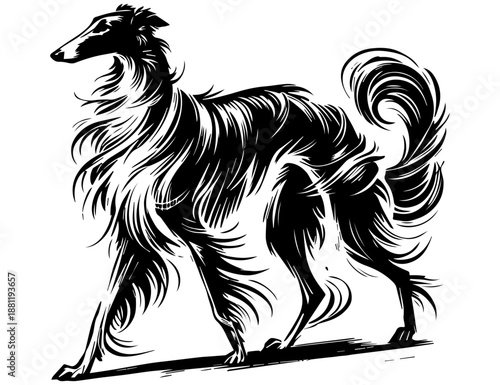 Elegant Dog Illustration, Long Haired Hound Portrait, Engraved Line Art