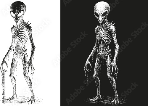 Alien Skeletal Creature Illustration, Extraterrestrial Anatomy Engraving, Dark Line Art