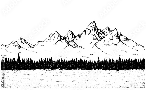 Mountain Landscape Illustration, Forest and Peaks Panorama, Clean Line Art Design