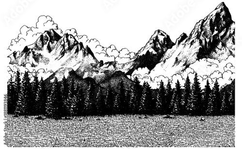 Mountain Forest Landscape Illustration, Alpine Peaks with Pines, Clean Line Art Design
