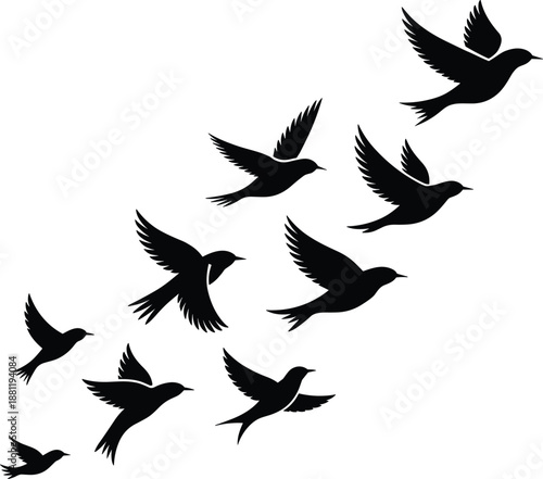 Black birds flying silhouette set isolated on white background, flock of swallows or sparrows in flight, migratory nature vector illustration