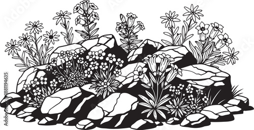 Black and white illustration of rocky mountain wildflowers blooming