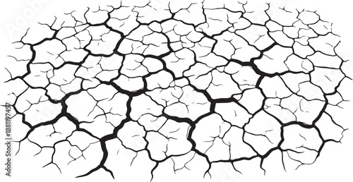 Cracked earth surface with deep black lines and white background