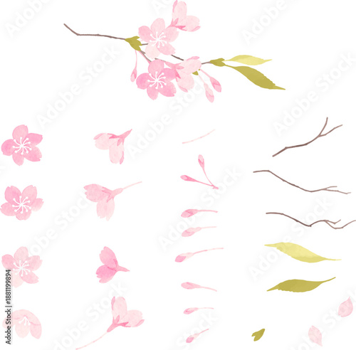 水彩で描いた桜のパーツのイラスト