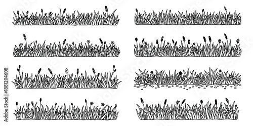 Hand drawn line art grass border set featuring various plant textures and small flowers for natural landscape designs