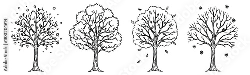 Hand drawn line art tree set featuring the four seasons for nature and environmental concepts