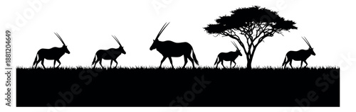Silhouette African savanna set featuring oryx antelopes and an acacia tree for nature designs