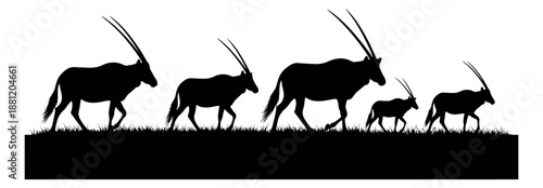 Silhouette oryx set featuring a family walking on grassy terrain for wildlife design