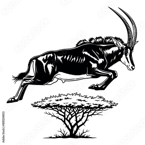 Stylized line art illustration of a sable antelope leaping over an acacia tree for safari and wildlife concepts