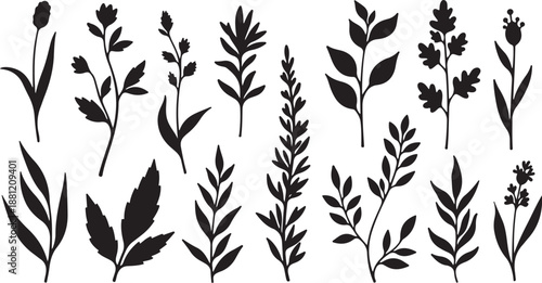 Collection of various black plant silhouettes on white background