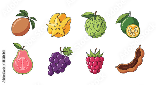Colorful assortment of various tropical fruits isolated on a white background