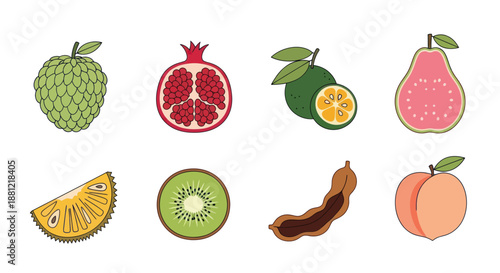 Colorful assortment of fresh fruit illustrations on a white background