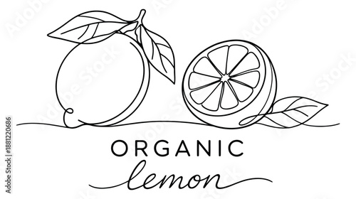 Hand drawn line art lemon set featuring a whole and sliced lemon with leaves for healthy eating and natural product design