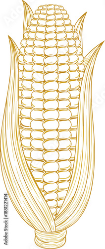 Detailed Lineart Style Corn Cob Maize Food Ingredient Illustration