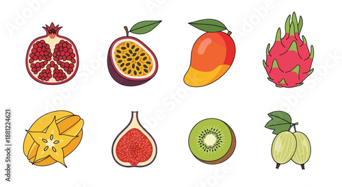 Colorful vector illustration of various tropical and exotic fruits
