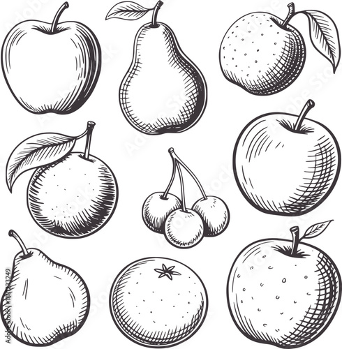 Hand drawn of various fruits including apples pears oranges and cherries cherry