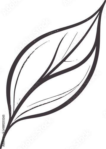 Minimalist dark grey of a single leaf with veins