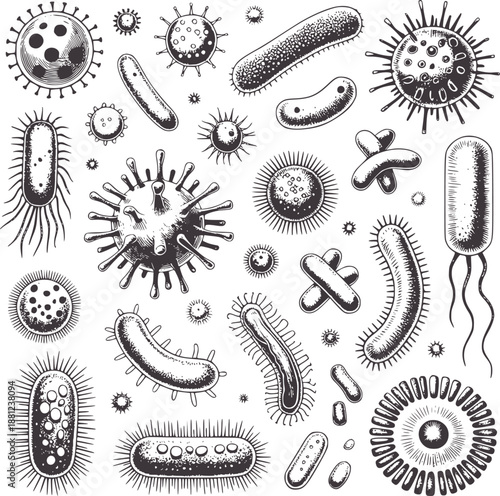 Detailed Monochrome Hand Drawn Microorganisms and Bacteria