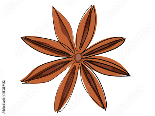 Star anise in a continuous line drawing format.