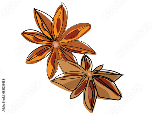 Star anise in a continuous line drawing format.