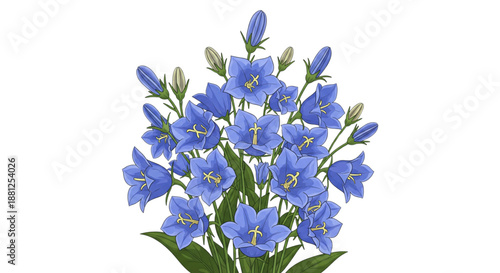 Vibrant Blue Bellflower Bouquet Blooming in Spring Summer Garden. Delicate Floral Design and Nature Web Background