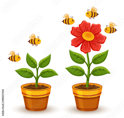 Flower plant seedling growth stage, houseplant growing, garden blooming herb in flowerpot. Blossom green leaves sapling pollination flying bee. Agriculture cultivation grass sprout in pot soil. Vector