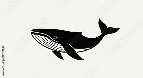 Black and white illustration of a whale on an isolated white background