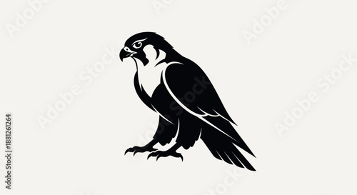 Black and white illustration of a falcon bird isolated on white background