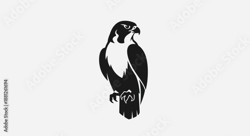 Black and white vector illustration of a peregrine falcon on white background
