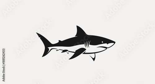 Black and white shark silhouette illustration for design and branding