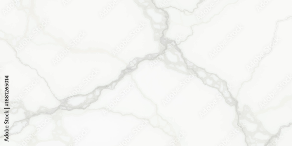 Obraz premium Abstract black and white background featuring a splash of white smoke textured with a lightning pattern and a sketch of a nature tree vector