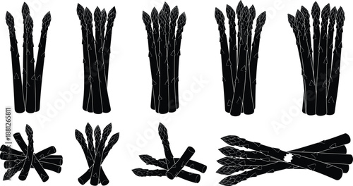 Asparagus vegetable silhouettes isolated on white background healthy organic food ingredients collection fresh farm produce bundle kitchen cooking nutrition black white illustration set