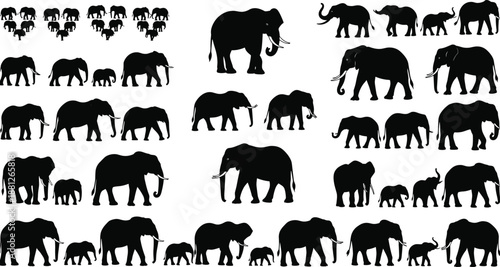 Elephant family silhouettes African wildlife herd collection isolated on white background safari animals illustration set nature conservation symbol black white vector design