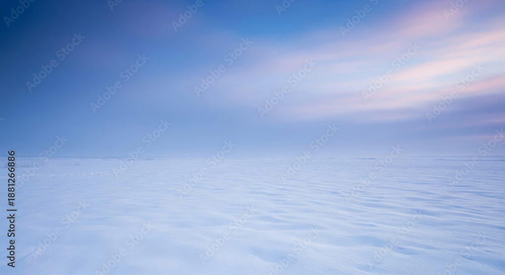 Fototapeta premium Icy Plain Under Pastel Sky In Open Landscape