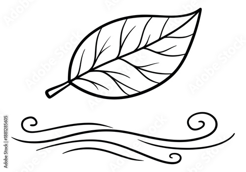Hand drawn line art illustration of a leaf and wind depicting natural movement for seasonal and nature concepts