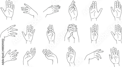Hand drawn collection of human hands in various gestures, black and white line art sketches for graphic design, vector illustration