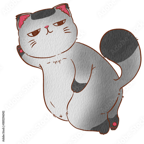Cat jon