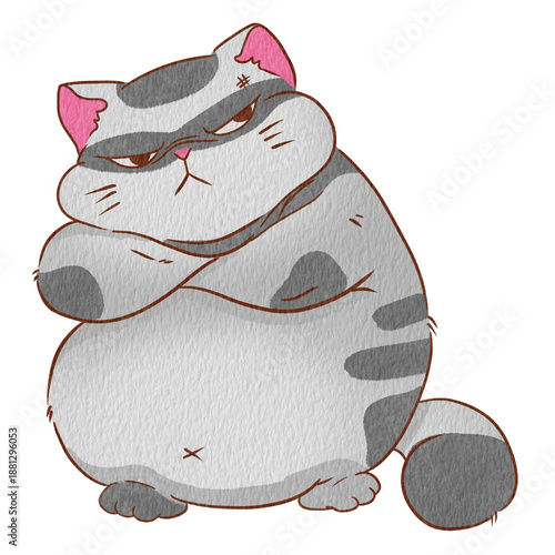 Cat jon
