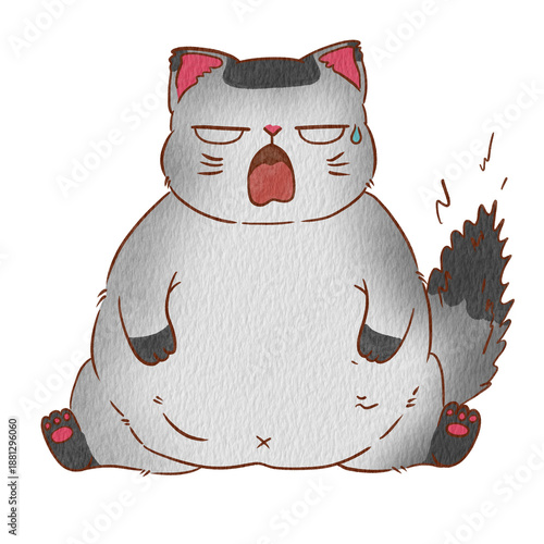 Cat jon
