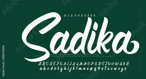 Script Elegant Signature Typeface. Lettering signature font isolated on grey background. brus style alphabet. Vector logo letters.  