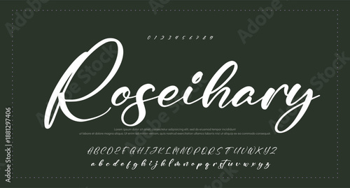 signature Font Calligraphy Logotype Script Brush Font Type Font lettering handwritten 