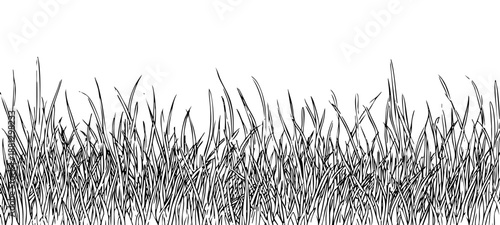 Seamless border of hand drawn tall grass blades black and white vintage sketch design element