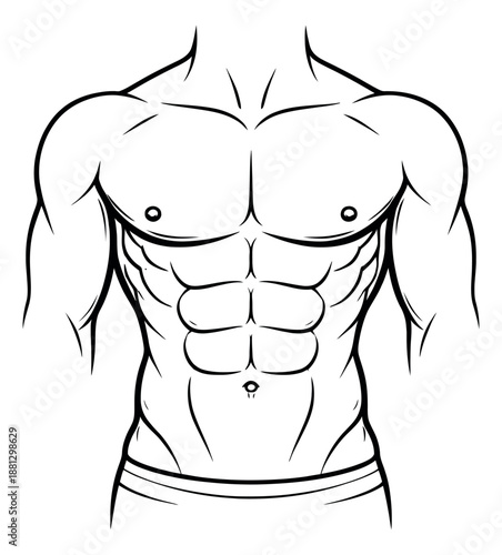 Line art illustration of a muscular male torso depicting strength and fitness for gym advertisements