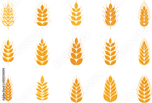 Set of golden wheat ear icons, cereal grain symbols, organic agricultural stalks and bread flour production vector graphics for bakery.