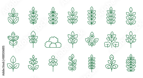 Green line art collection of diverse leaf and shrub structures for botanical icons and environmental landscape design elements.