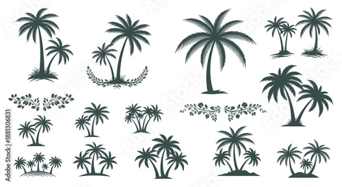 Diverse collection of black palm tree silhouettes and tropical plant arrangements for coastal and beach themed graphic design.