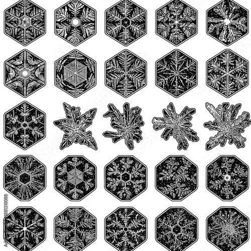 A mesmerizing collection of intricate, unique snowflake patterns displayed in various crystalline forms and hexagonal shapes, perfect for winter and holiday designs.