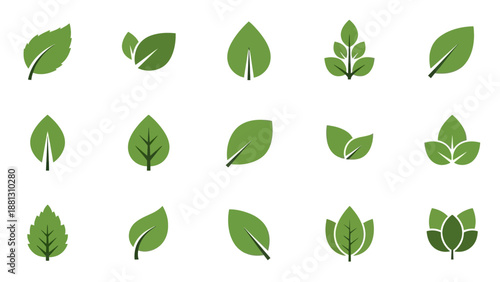 Collection of various green leaf shapes.