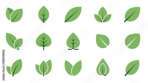 Collection of various green leaf shapes.
