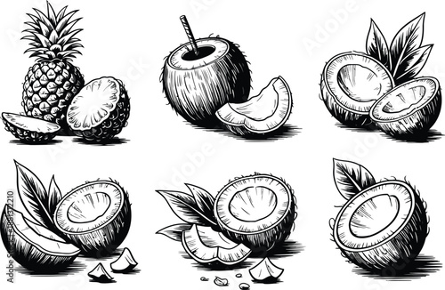 Black and white of a jacket with pockets and zippers , jacket, clothing, fashion, black and white, line outerwear,